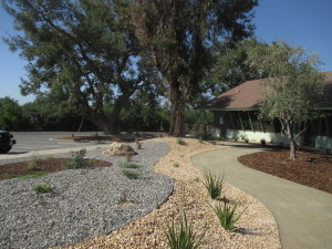 Paramount Farms, Shafter, CA.- Water Conservation Landscape Renovation